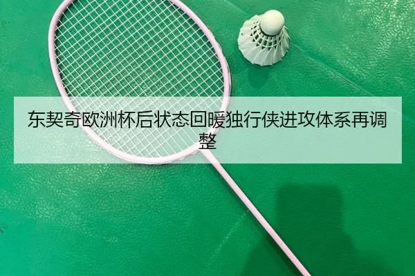 东契奇欧洲杯后状态回暖独行侠进攻体系再调整